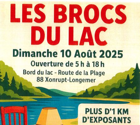 LES BROCS DU LAC : 13ème édition